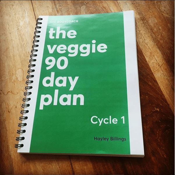 90 Day Plan Cycle 1